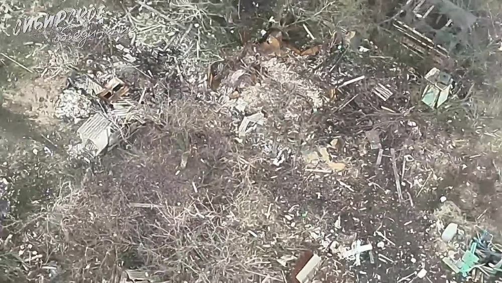 ���� �������: ���������� (���������������) �����������