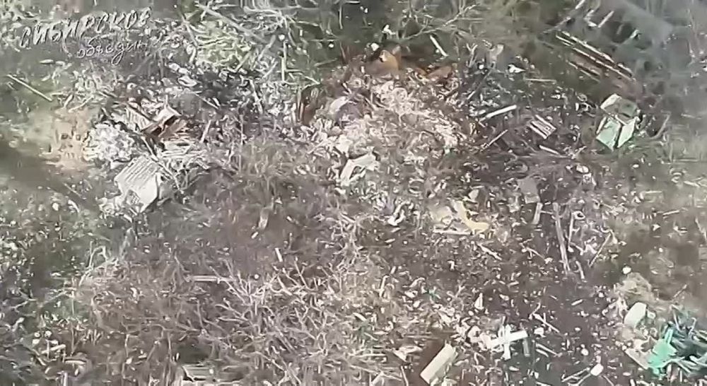 ���� ������ ���� ����������� ���
