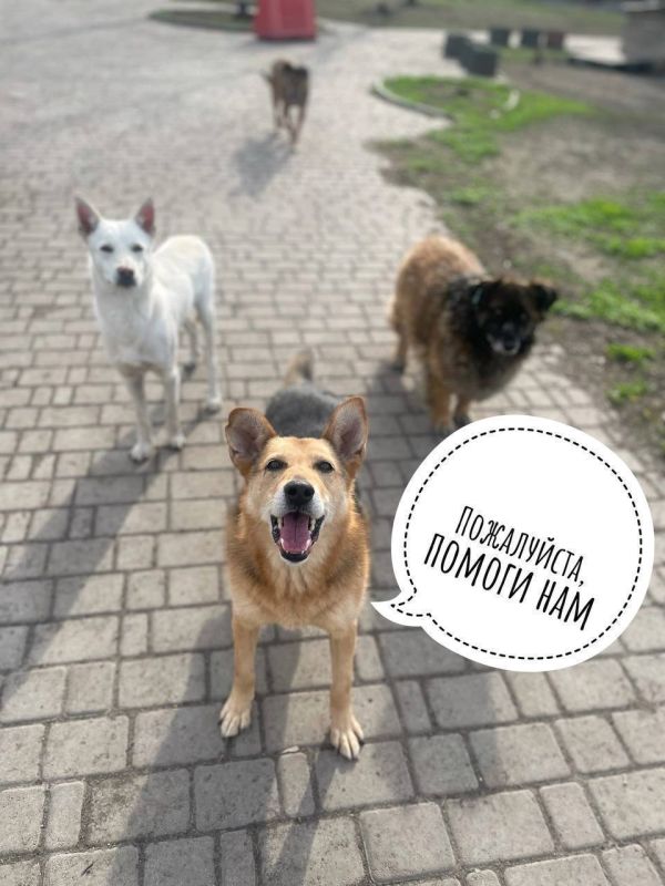 ������ �������: ������, �������� ����� ��� �������� ��� ��������� � ������.