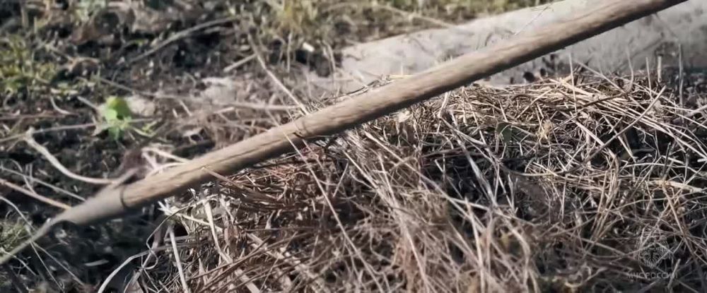 �������� ����� ����� ����� � ���������� �������� ������������