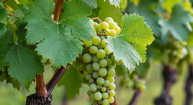 ��������������� ������������ ����������� �� �������� � ������� ����� ��������� ����� ��������� ����������� ��������