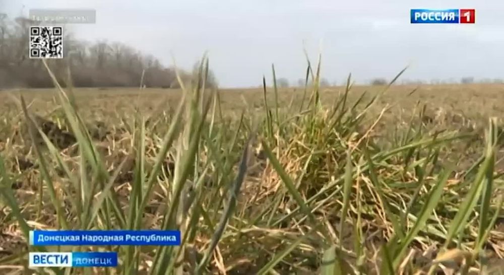 ����� ����������: ��� ����������� ����������� �����, ����������� ������ �������� �������� �������� � ���