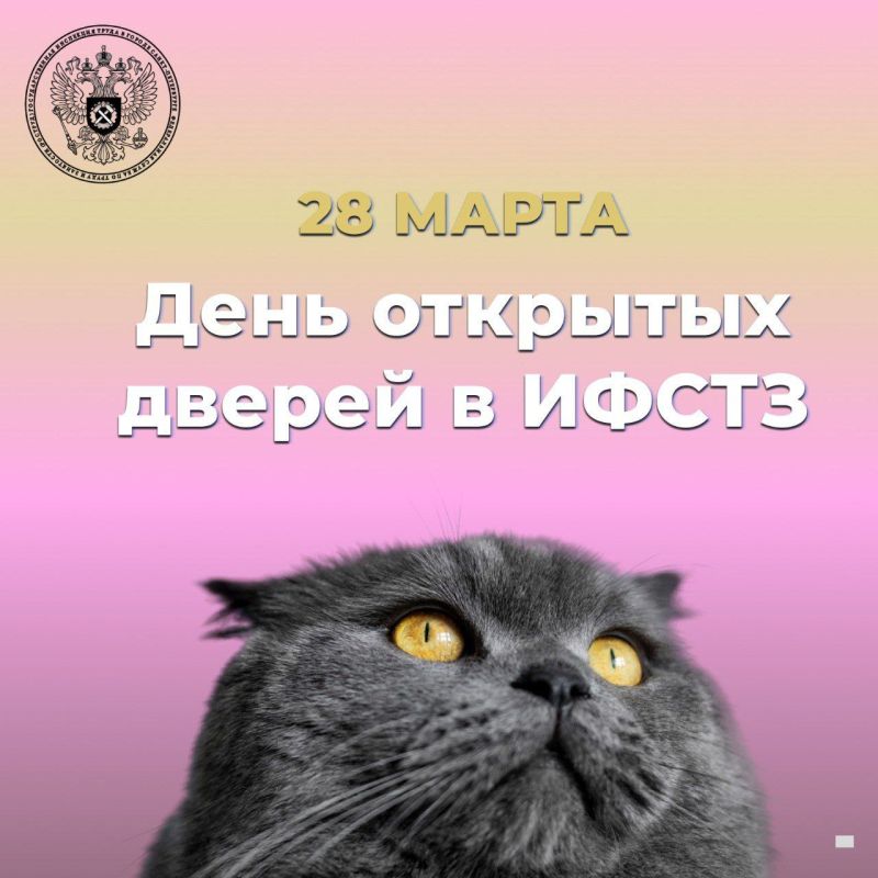 ���� �������� ������ � ��������� ����������� ������ �� ����� � ���������