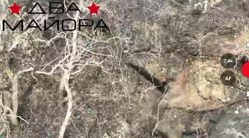 Два майора: Александро-Калиновское направление (Южнее Дзержинска, у Розовки (Александрополя))