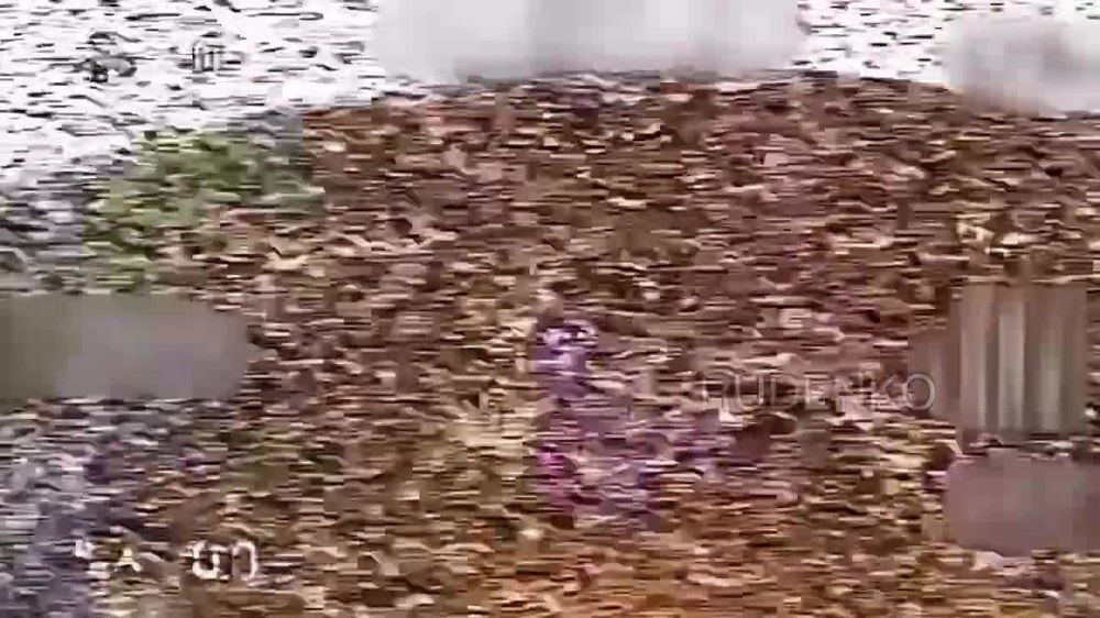 ������ �������: FPV-�������� �� �������� ����������� � �������