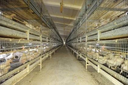 ���������� ������������ ������� 1,3 ���� ������ ���������� �� ������������