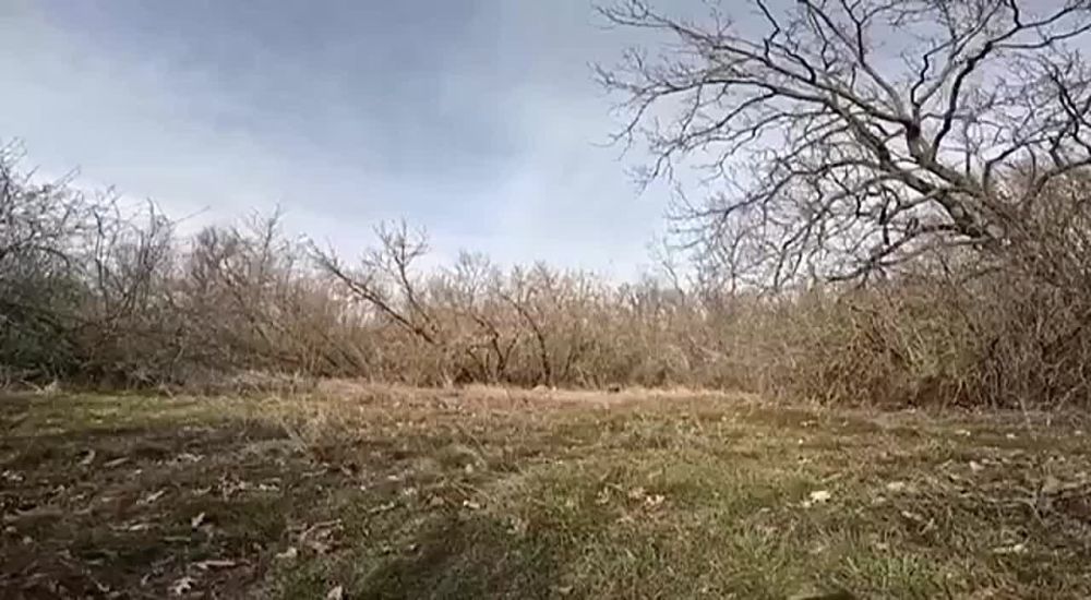 ����������� �� �� �� ����������� ����������� �������������� ������ ����������� � ����