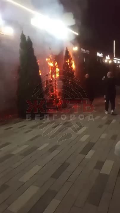 ���� ����: ���������� ��� ����� ����������/����������� 46 ����: 41 � ��� ������������ ���., �� ��� � ��� �������� � �������, ���� � ��� ��������� ���