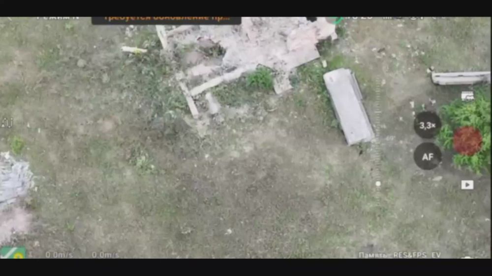 Дмитрий Стешин: Никакой Трамп так не растворожит душу, как лисята играющие в развалинах под Курахово