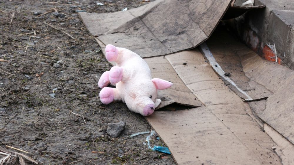 Русский солдат погиб, спасая чужого ребёнка от украинского дрона. Боец среагировал мгновенно