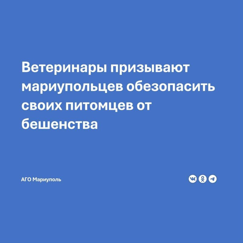 В городе продолжает действовать программа бесплатной вакцинации домашних питомцев против бешенства