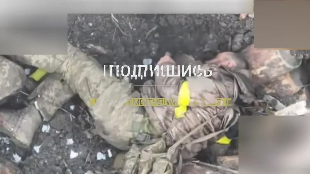 Уничтожение украинского MRAP International Maxx Pro в районе Федоровки ДНР