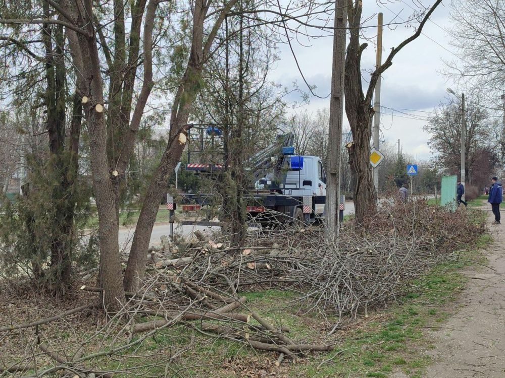 ��������� �������: ������������ ������ ���������� ��������������� ����������