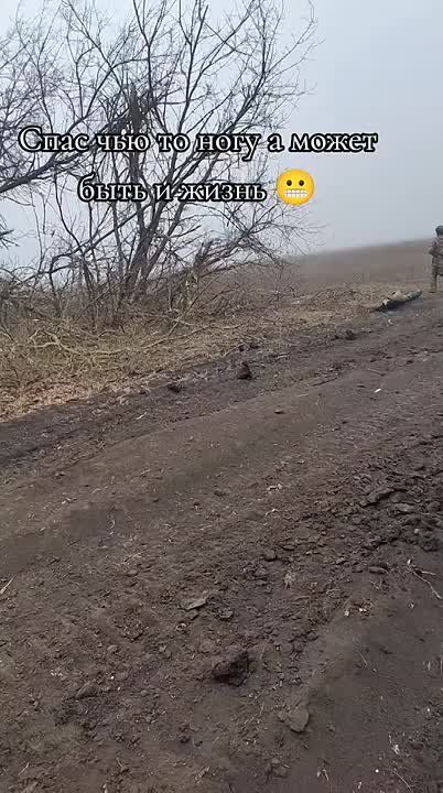 ������ �������: ���������� - ���������������� ������� ���������� �� �������� ����������� ��������� �� ����-�������� �����������