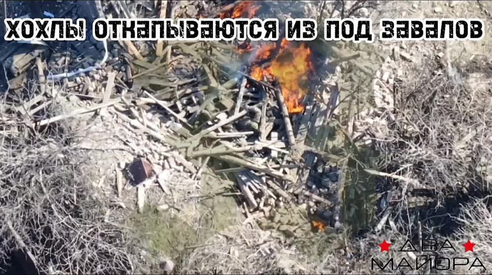 ��� ������: ���� ���� �� ����� ����������