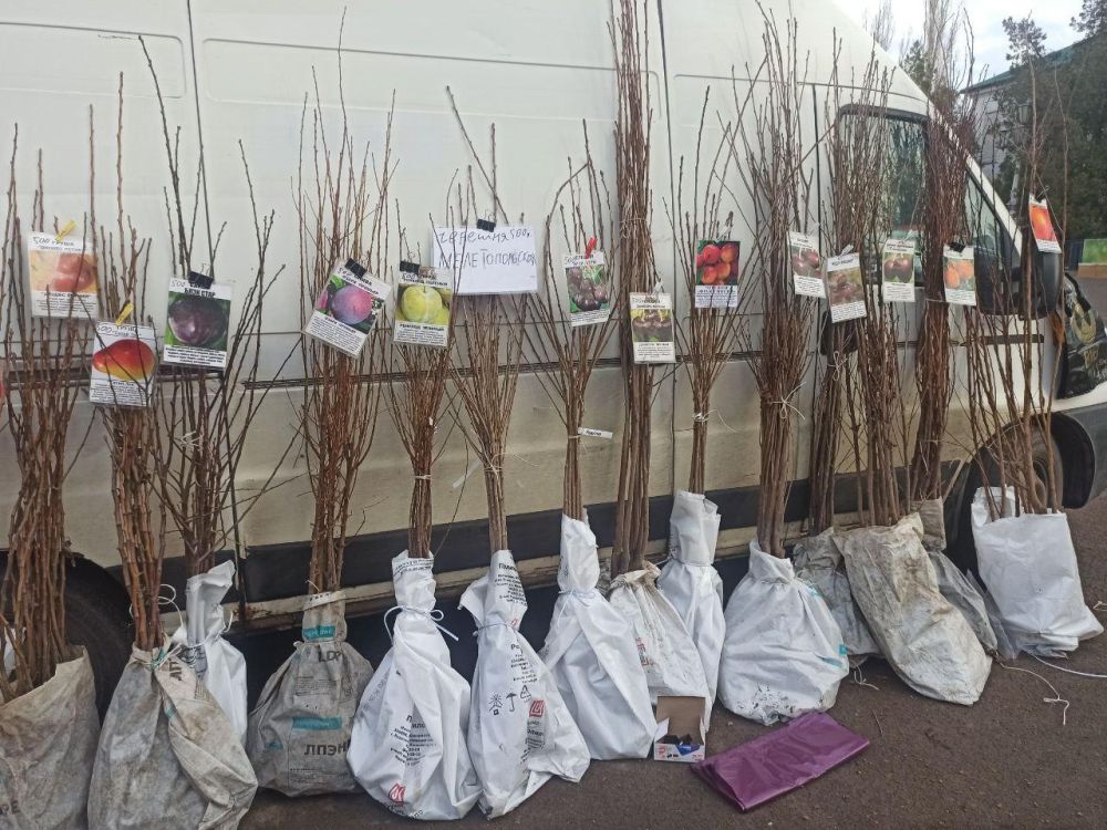 ��������� �������: �� ����������� ������� ����������� ������ �������