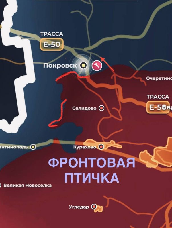 Обстановку на Покровском направлении передаёт Фронтовая птичка