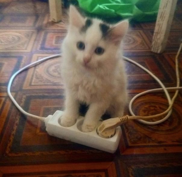 Дмитрий Стешин: Парни, зачищавшие Курахово, отметили, что противник упорно сокращает применение арты, замещая ее дронами