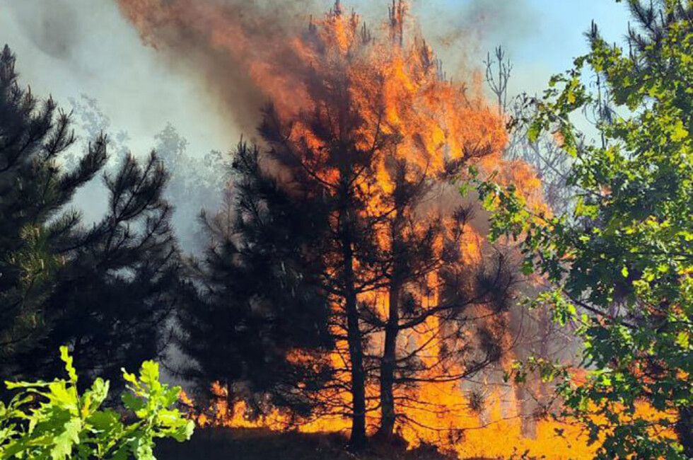 �� ��� � ��� ������ ��������� ����� 4 ������ �� ����