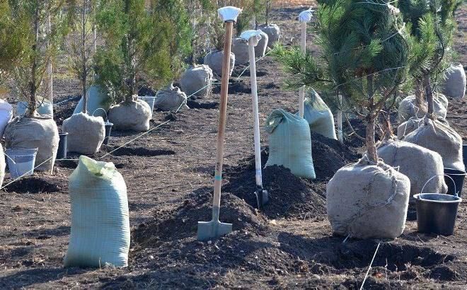 � ������ ������ � ��� ��������� ������ � 2025 ���� ������� ����� ������