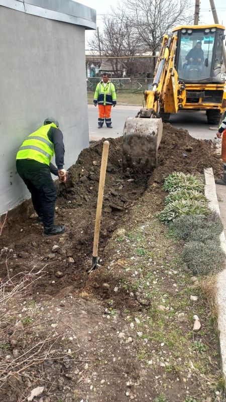 ������� �������: ������������ ��������� ������������ ���������� ��������� � �����������