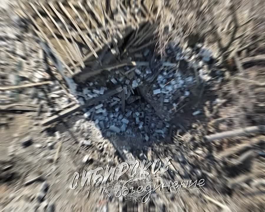 ����������� �����. ��������� ���� HYENA GROUP ��������� ������� 64 ���� ��� � ��������� ����