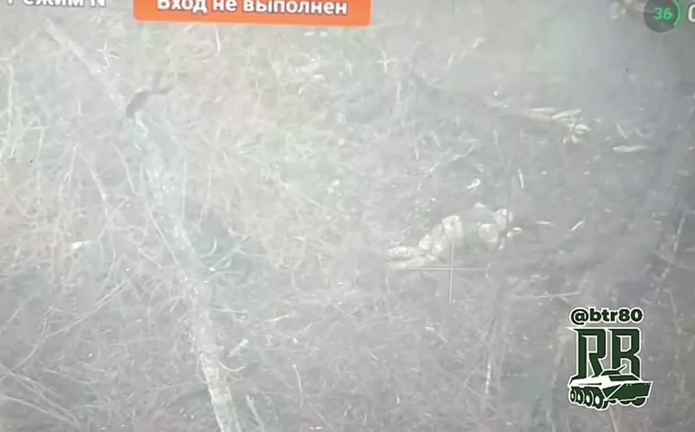�������� ���� - �� ����� ��� �������