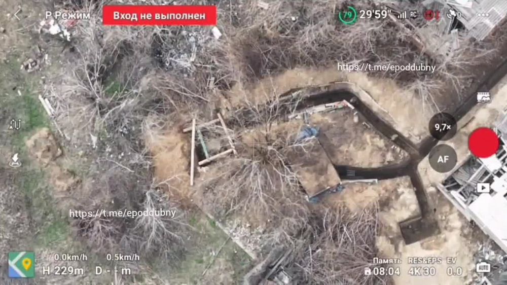 ������� ���������: �� ����� ����� 27 ��������������� �����, ���������� �� ����� ��������� � ����� ���