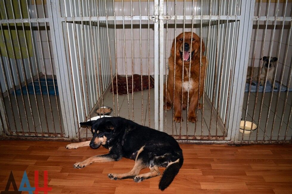 ������� ���������� ���� ������� 1 ��� ���. �� ������ ��������� ������ �����