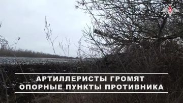 Минобороны России: Получив координаты, расчёты ствольной артиллерии 5 общевойсковой армии группировки войск «Восток» в считанные минуты нанесли удары по целям в районах Вольного Поля и Шевченко Донецкой Народной Республики
