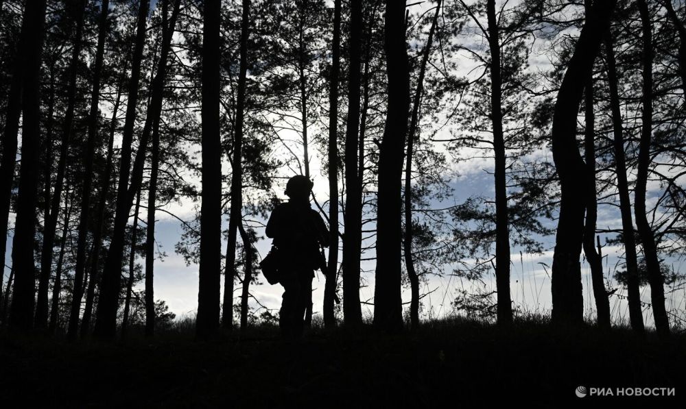 Пушилин сообщил о продвижении на Великоновоселовско-Угледарском направлении