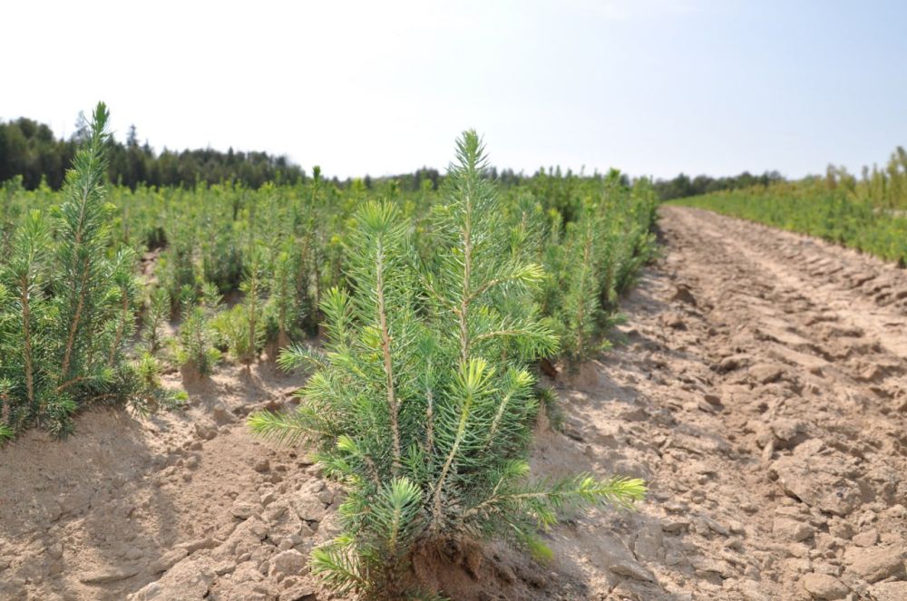 � ��� �������� �������� � ��������������� ������������������