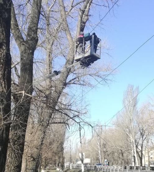 ��������� �����: ������������� ��������� ������������ "�� "�������" ������������� ����������� �������������� ������ ���������� ������ �� ��������� �������� ��������� ���������� ��������� �� ����� ������