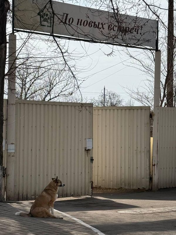 ������� ���������� ���� ������� ��������� ���Ի � �������