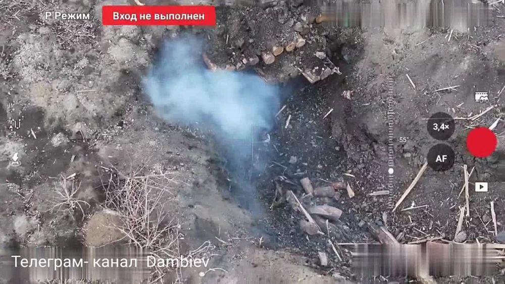 ������ �������: ��������� 37 ��������� ����������� �������������� ������� ����������� "������" �� �� �� ������� ���������� ������ ���������� �� ����-�������� �����������