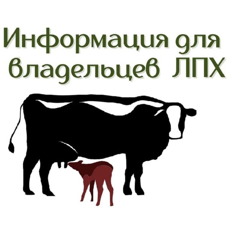 ���� ������: ������ ���������� ���������, ������� ������ ��������� ���������!