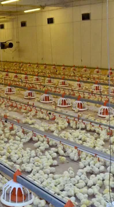 Виктория Мельникова: 25 компаний уже строят в Донбассе и Новороссии