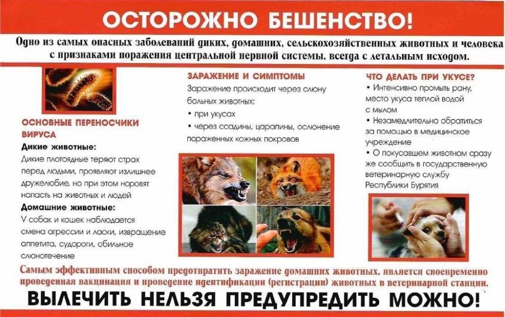 ������� ���������: ��������� ���������!. ��������� � ���� �� ����� ������� �����������, ������� ����� ���������� ��� ��������, ��� � �������