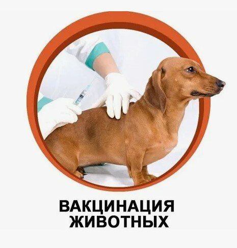 ���� ������: �������� � ������ ���������������� ����������� ������������ ��������� ��������������� ��� ���������������� ������������ �������� ������ ������� ���������� ���������� ���������� �������� ���������� �������� ��...