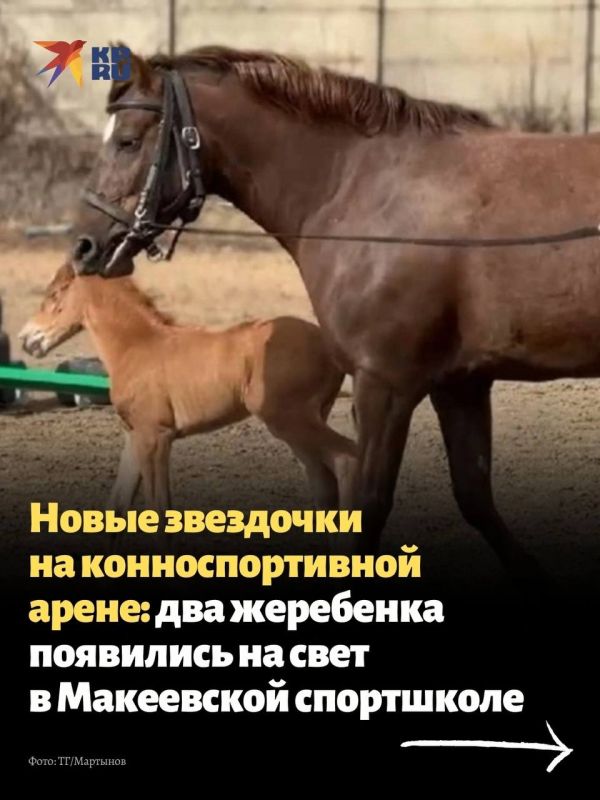 �� ��������������� ���� ������-��������� ����� ������������ ������� ���������� � �������� ��������� ��������� ������� � �� ���� ��������� ��� ����� ���������, ������� ��� ������ ��������� �������� �������� � �������������...