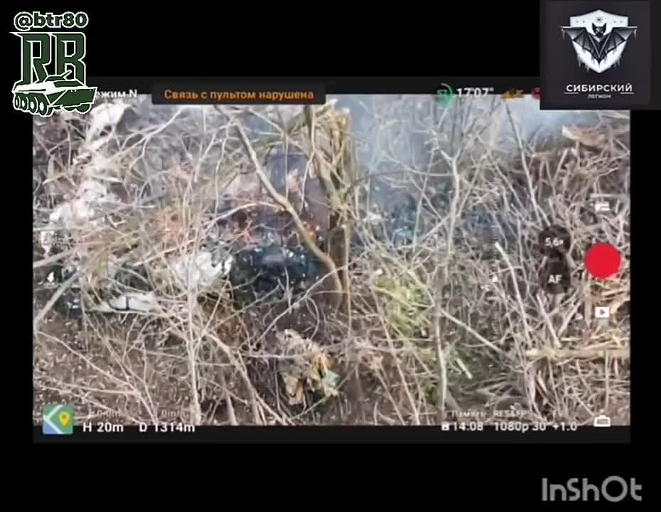 ��������� ������ �������� ���������� � �������