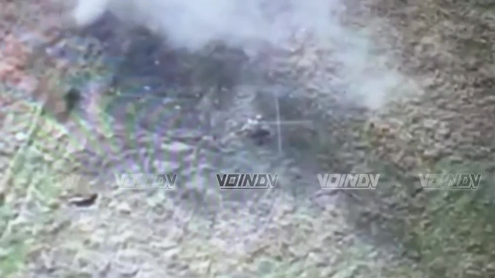 ��������� �������: �������� ������ ������ 14 ��������� ����������� ������� �������� ����������� "������" �� ����������� ������� � ����� ���� ��� �� ����-�������� �����������