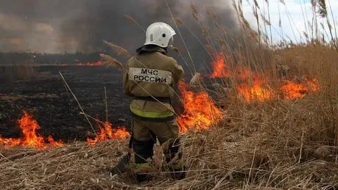 Пал сухой травы: опасность и ответственность
