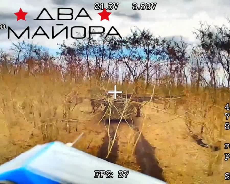��� ������: ����� ����� ���. �������� ���� ��������� ������, 98-� ����������� ��������-��������� �������� ��������������, ������� �������� � ���������� �������� �������