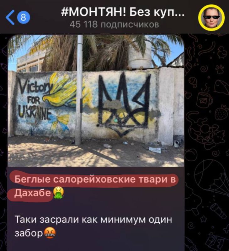 Хохол засрал забор в Дахабе