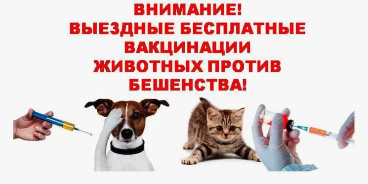 ��������� �������: ������������� ���������� ������ ���������� �����������