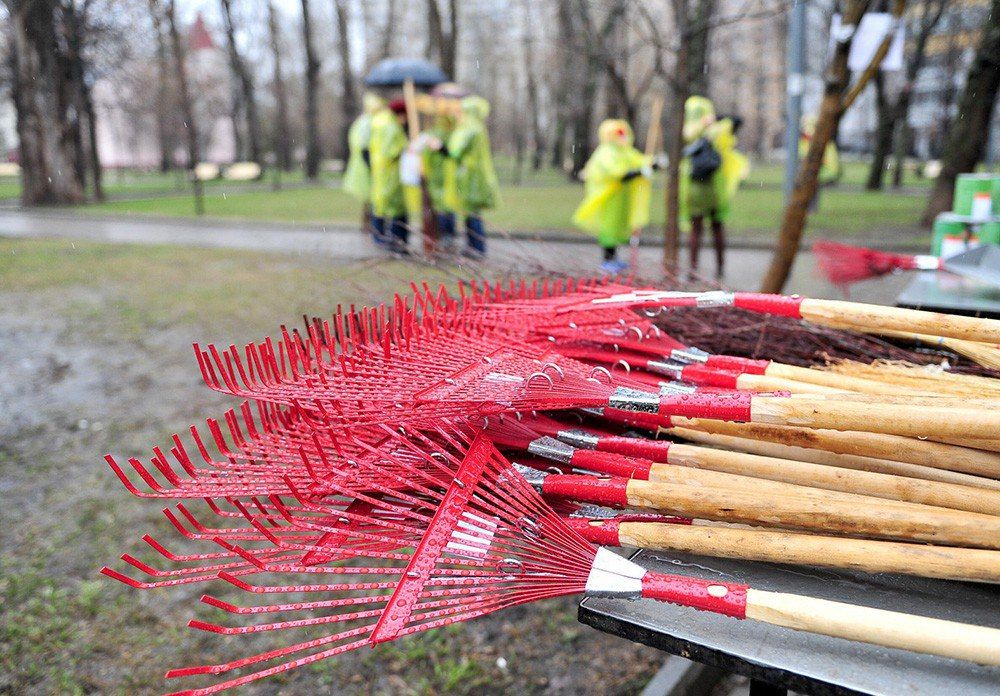 ��������� ��������: ��������� �������������!. 5 ������ � ������ ��������� ��������������� �������� ������� �� ������������ ����� �������� �������� ���������� ������ �������� ��������� ��������� ������������������� ���������