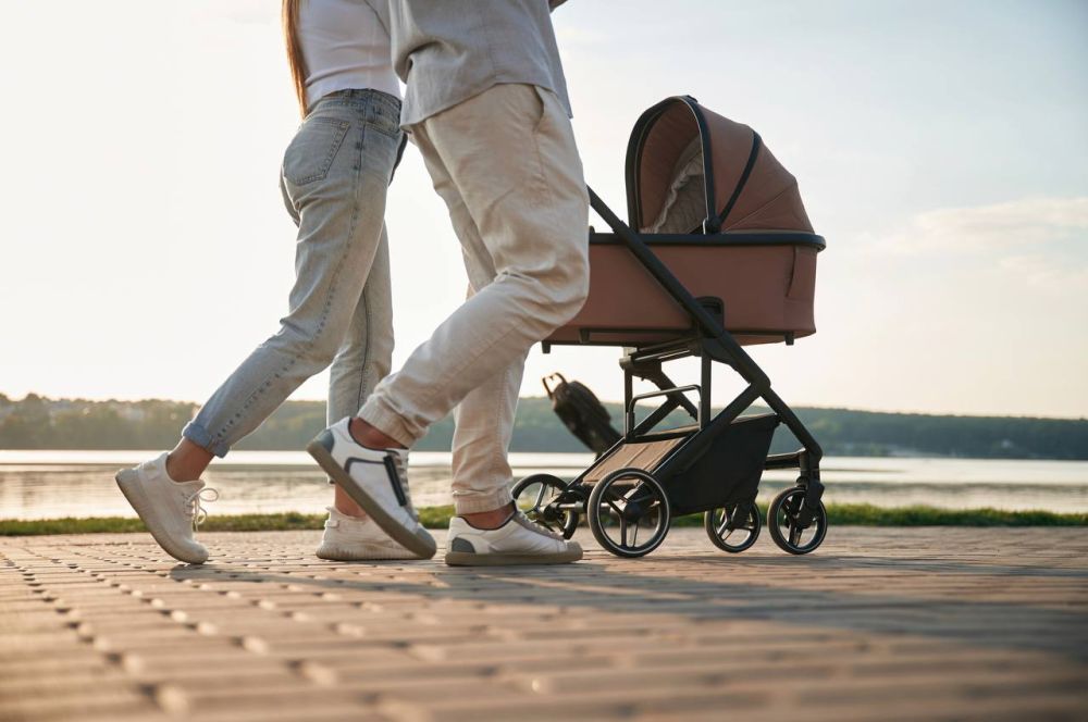 ��������� ��������: ������������� ������ �������� ����������� �������������� ������� ����������, ����������� �������