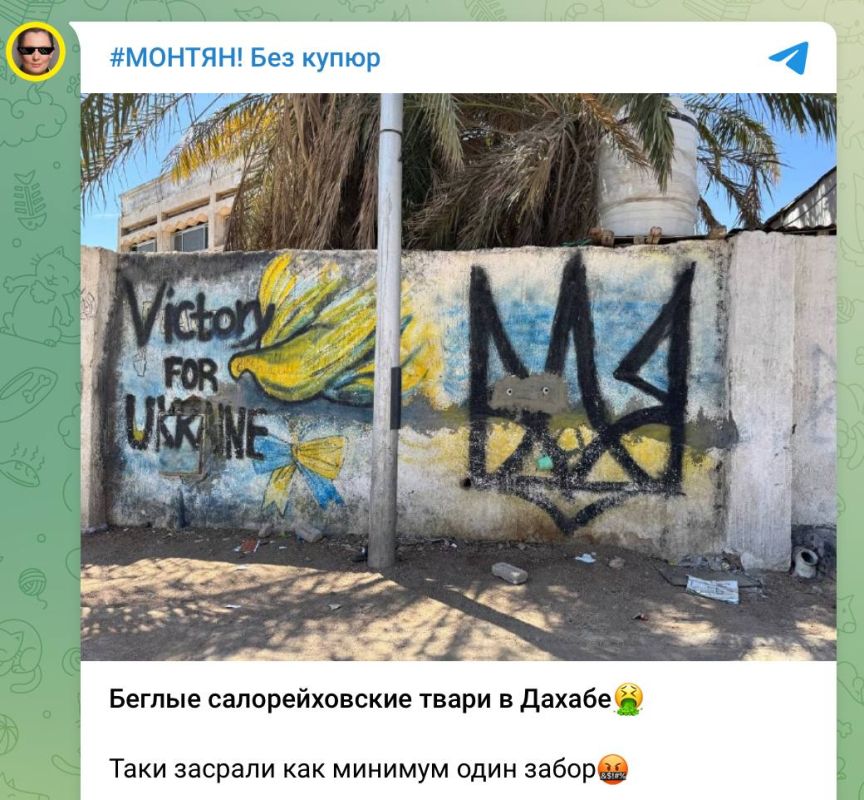 Армен Гаспарян: Криптобандеровка негодует. И не вспоминает, как занималась с гопником тем же самым в Курахово