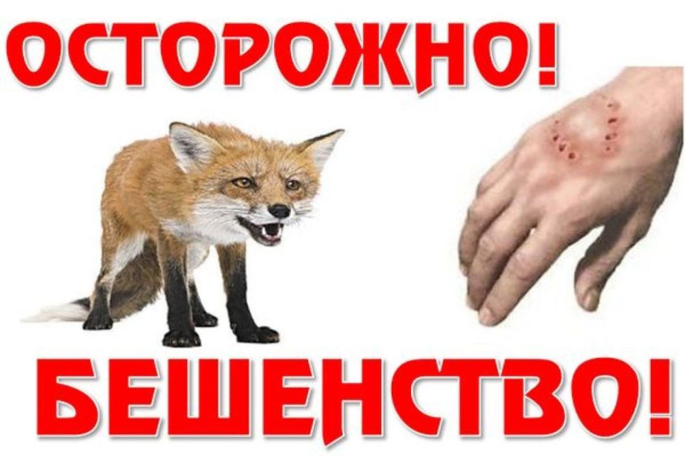 ������ ��������: �������� ������ ����������